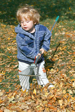 Chores a Toddler will Love