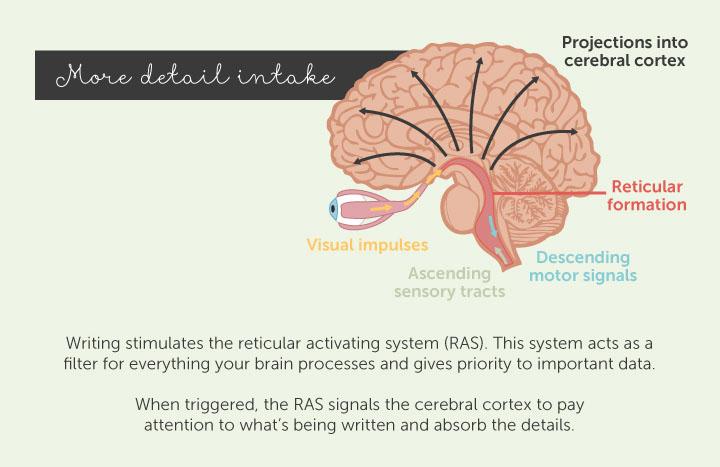 Using handwriting helps you pay attention to what you are learning
